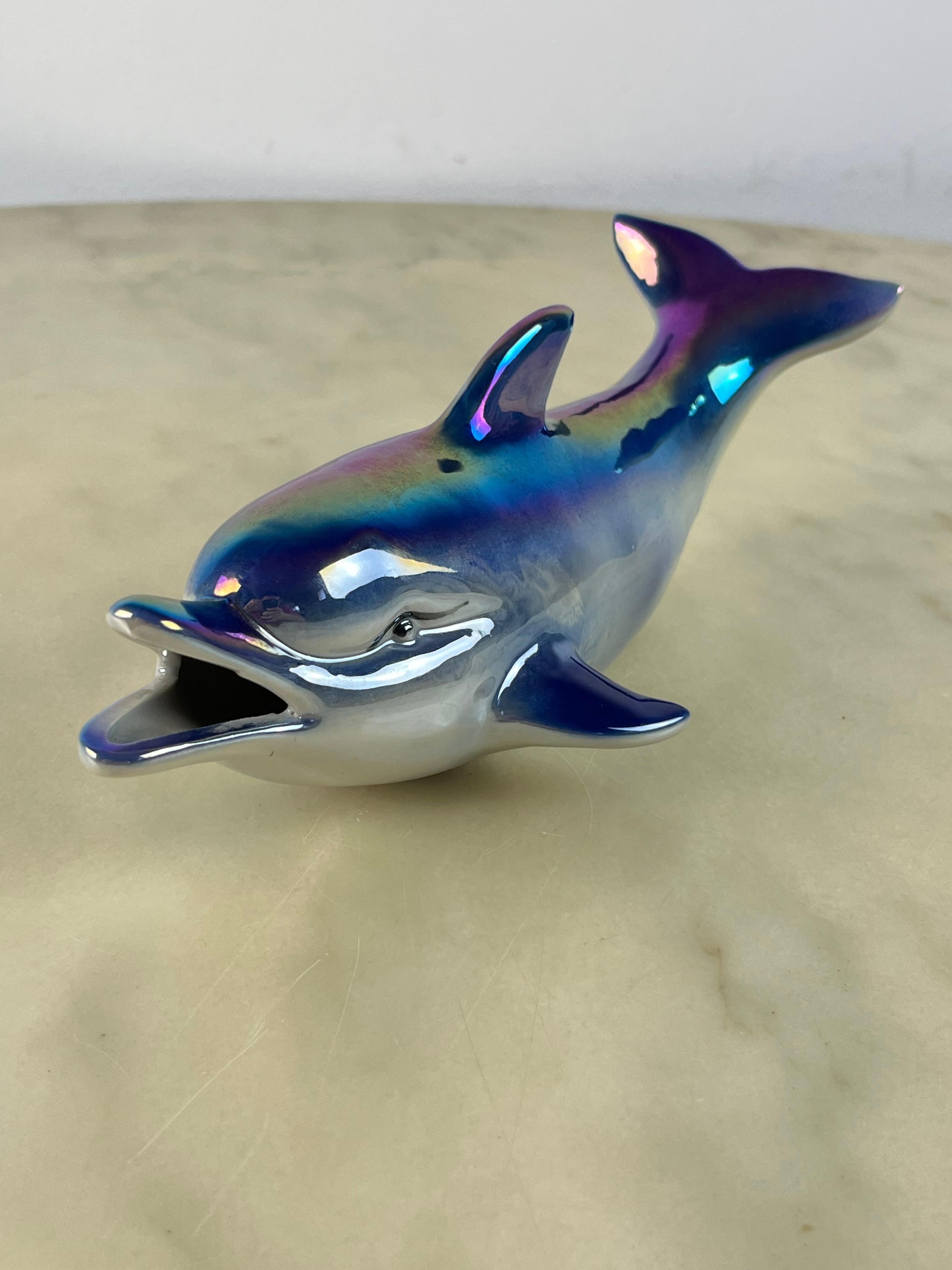 italian dolphin