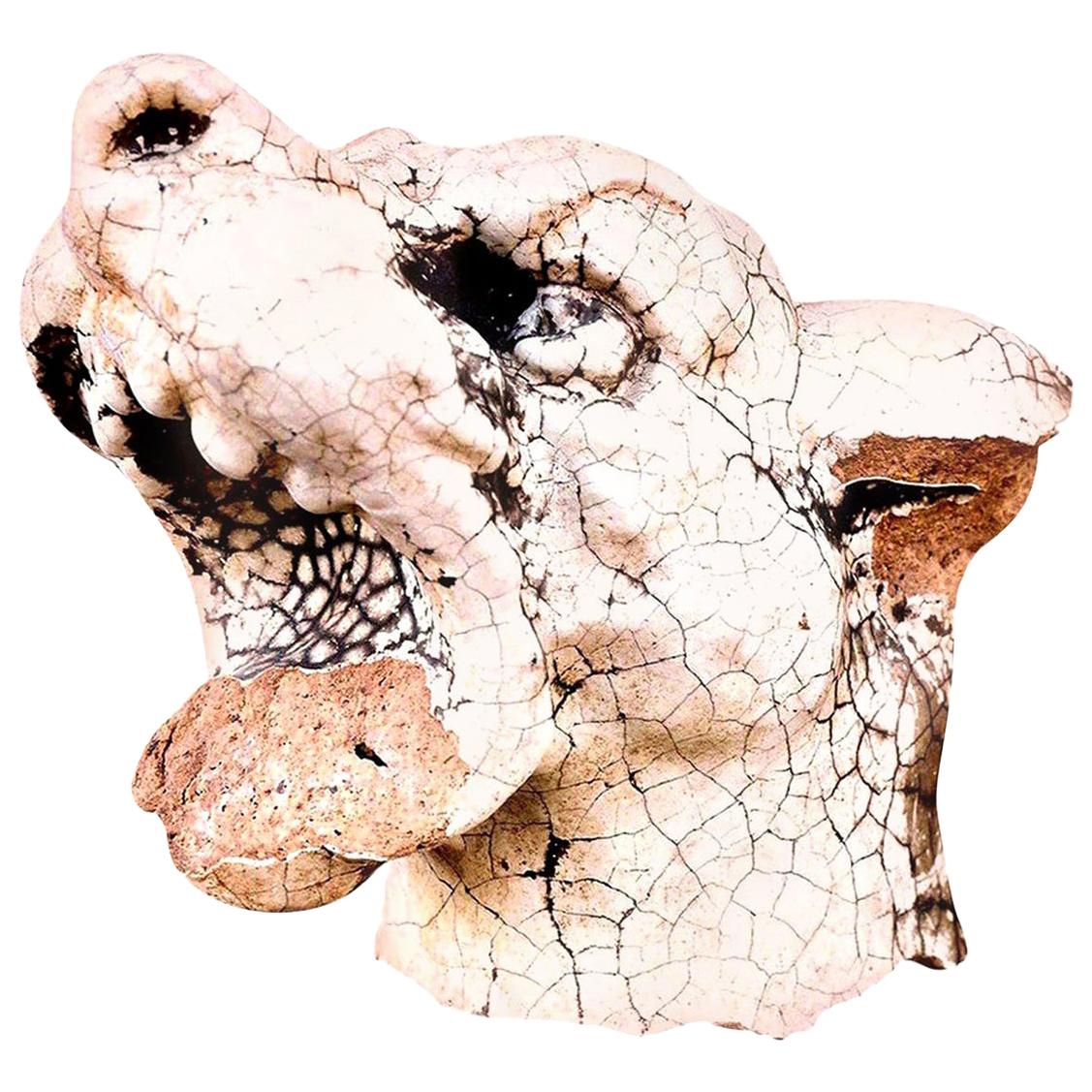 Glazed Terracotta Dog Head For Sale 3