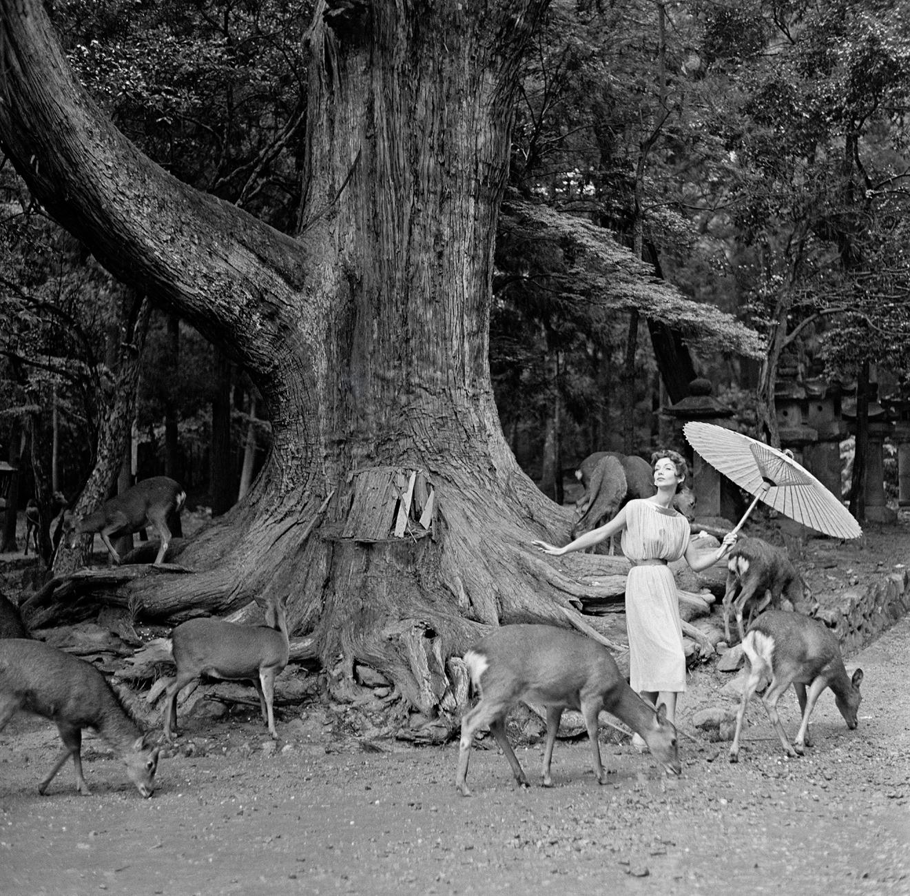 Selected from the Derujinsky: Around The World Portfolio, shot in Nara Deer Park Japan for Harper's Bazaar for Harper's Bazaar

Artist: Gleb Derujinsky

Title: Nara

Year: 1957

Estate Edition: signed, stamped and numbered on verso. Signed by Andrea