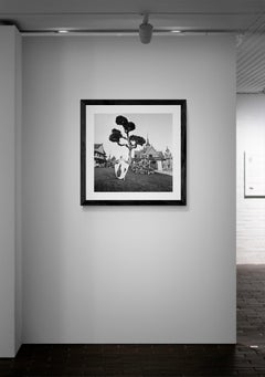 Tempel der Morgenröte von Gleb Derujinsky, 1957, Modefotografie