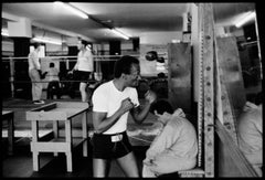 Photographies