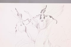 Glen Michaels Signed Modern Orchid Graphite Drawing on Paper 14h x 11w Unframed