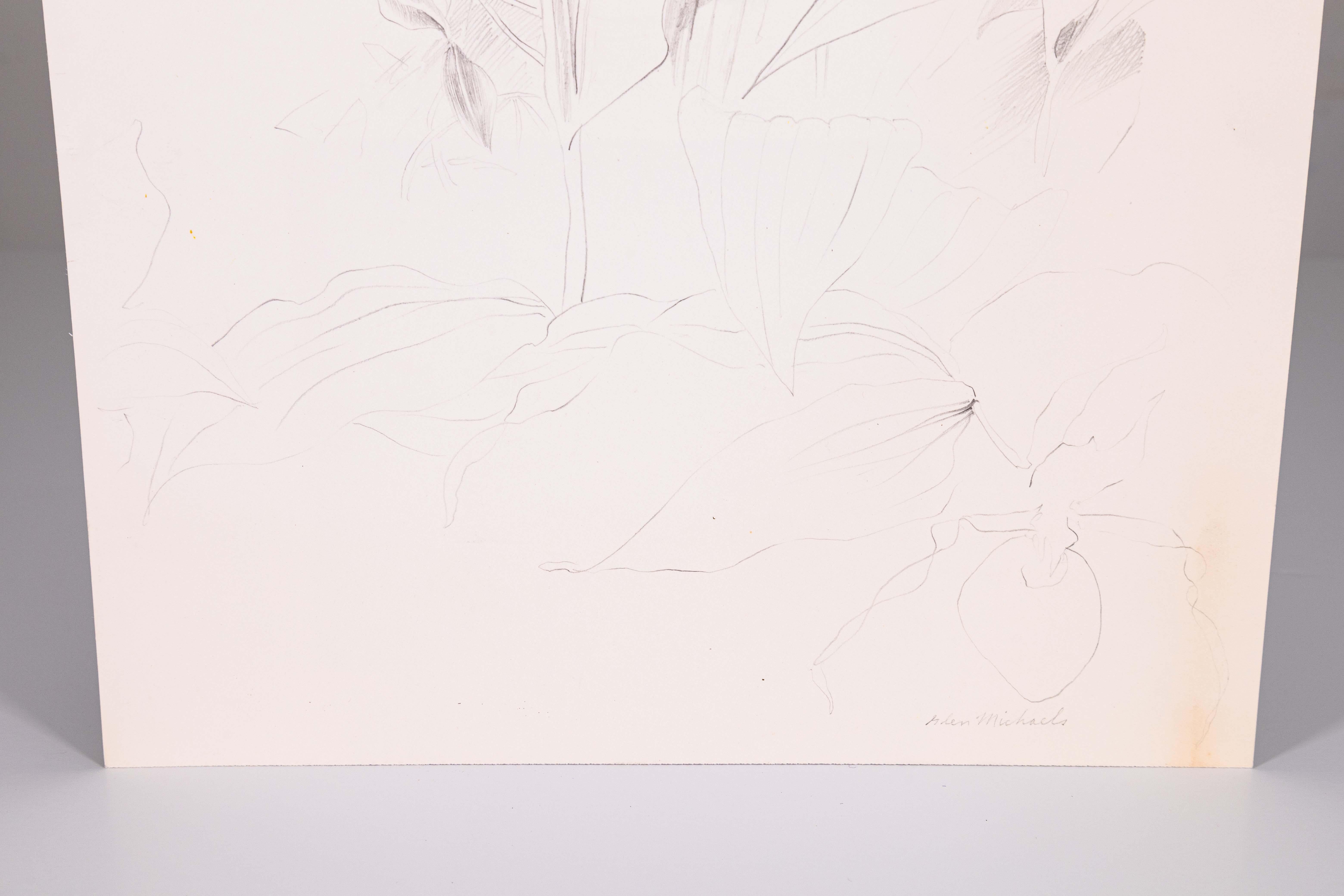 Glen Michaels, signierte moderne Orchideen-Graphit-Zeichnung auf Papier, 14h x 11w, ungerahmt (21. Jahrhundert und zeitgenössisch) im Angebot