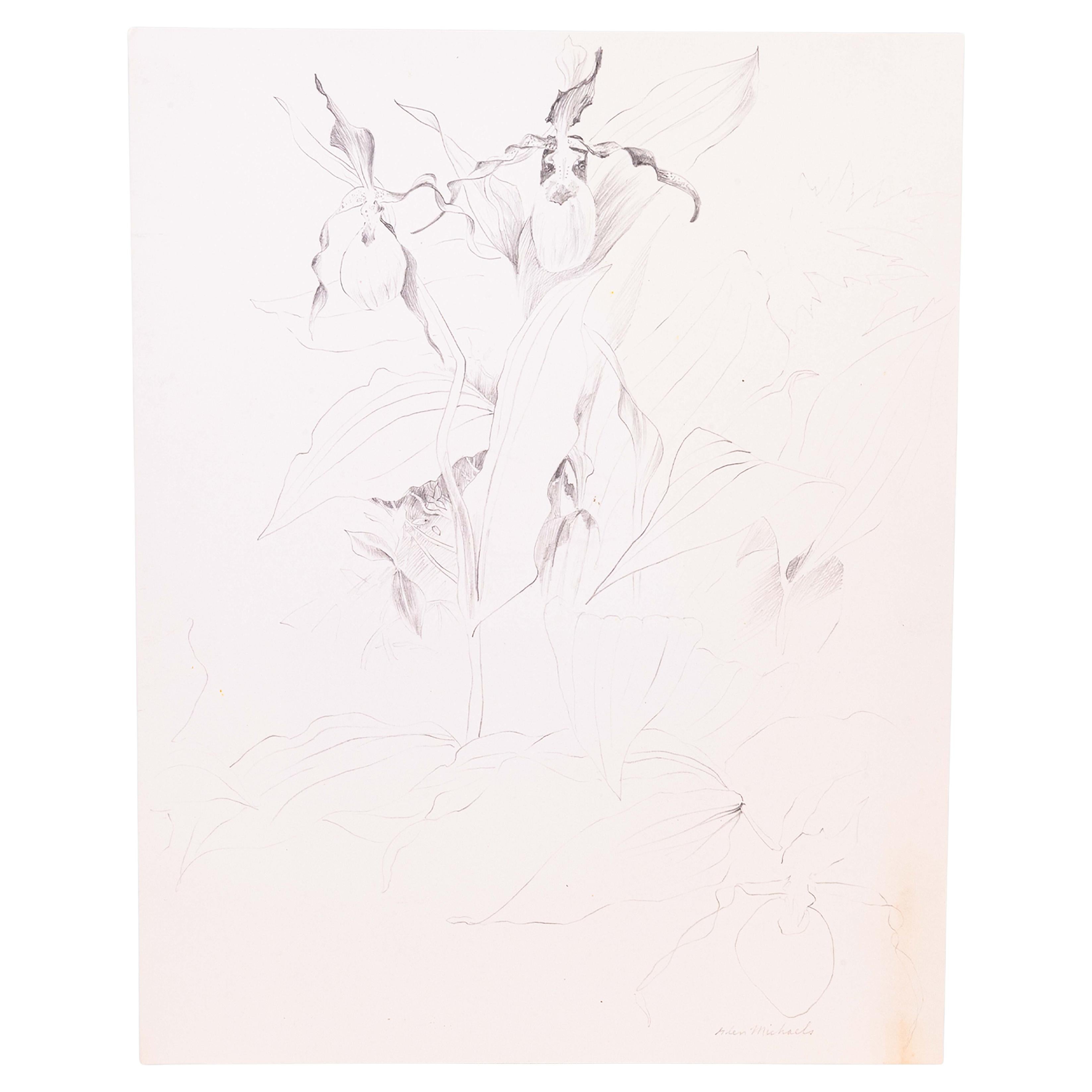 Glen Michaels firma Orchidea moderna Disegno in grafite su carta 14h x 11w Senza cornice