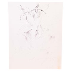 Glen Michaels, signierte moderne Orchideen-Graphit-Zeichnung auf Papier, 14h x 11w, ungerahmt