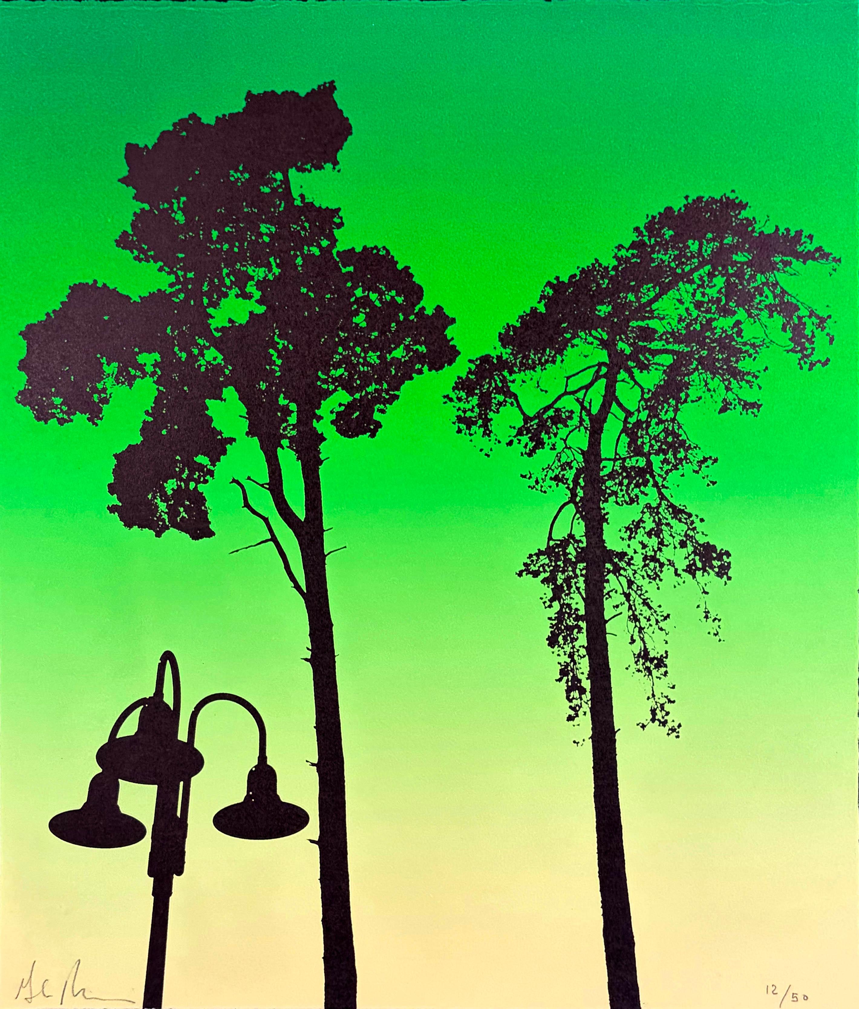 A Reassuring Lie Unfolds II, treescape Photogravure by Glen Rubsamen