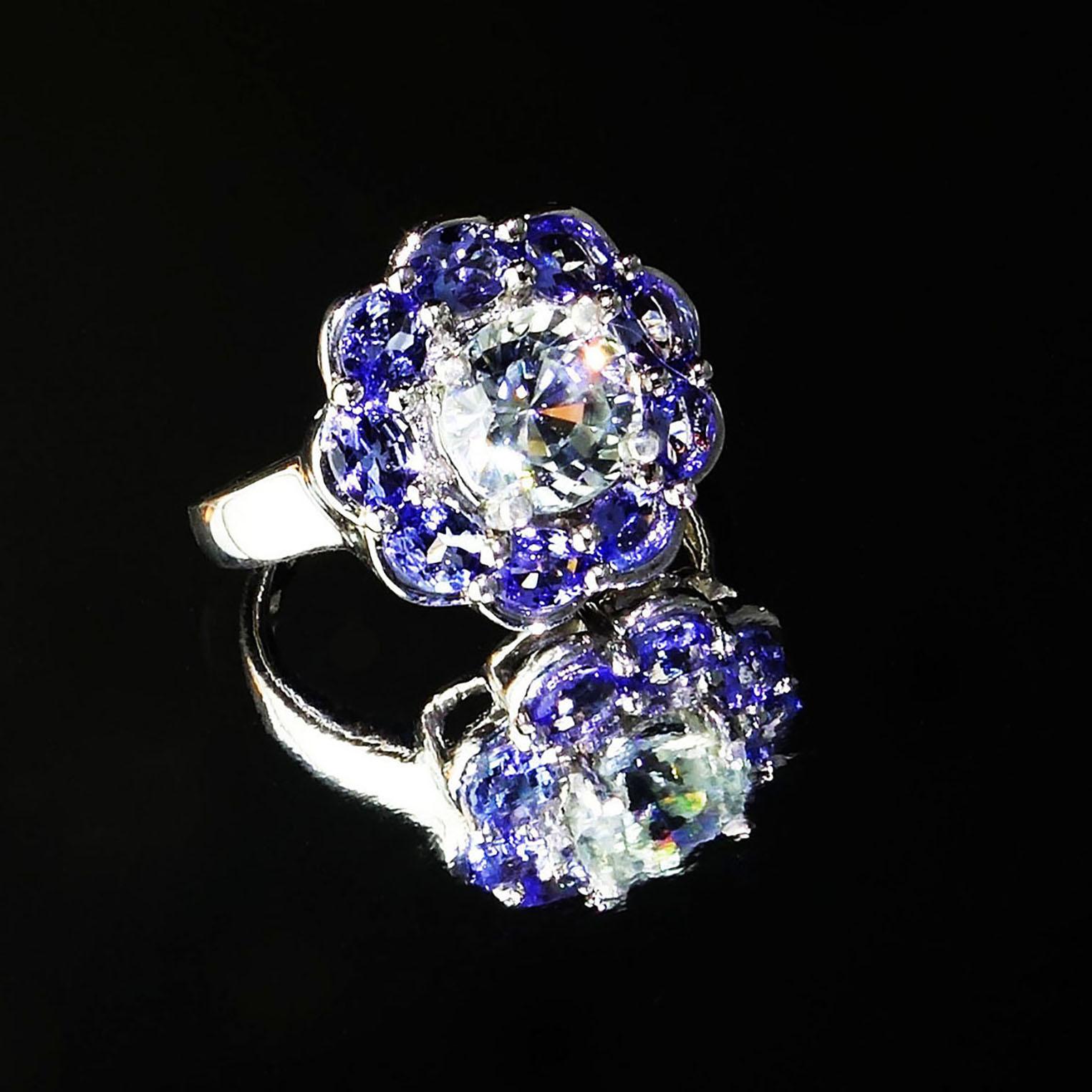 AJD Glittering Round Zircon Surrounded by Tanzanites Cocktail Ring  1