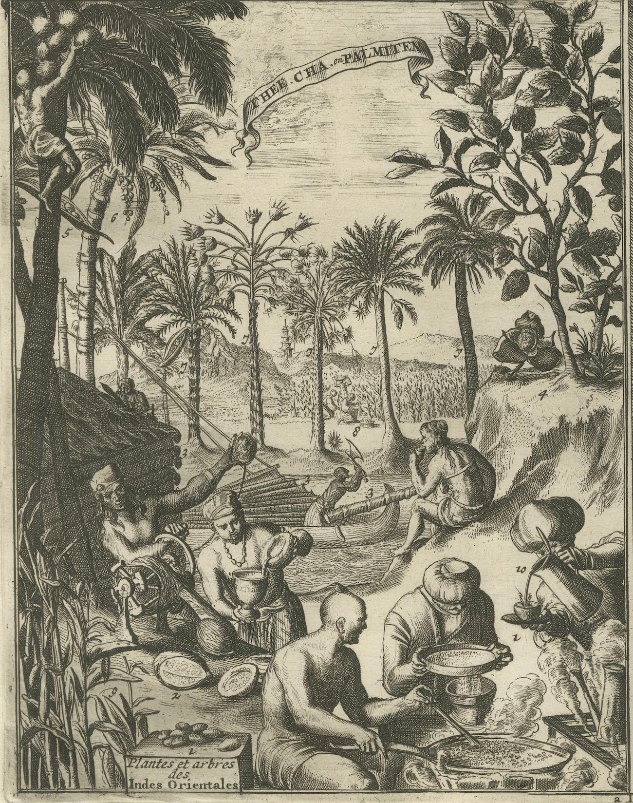 Global Harvests and Crafts: From the East Indies to Chinese Lacquerwork, c. 1708 For Sale 3