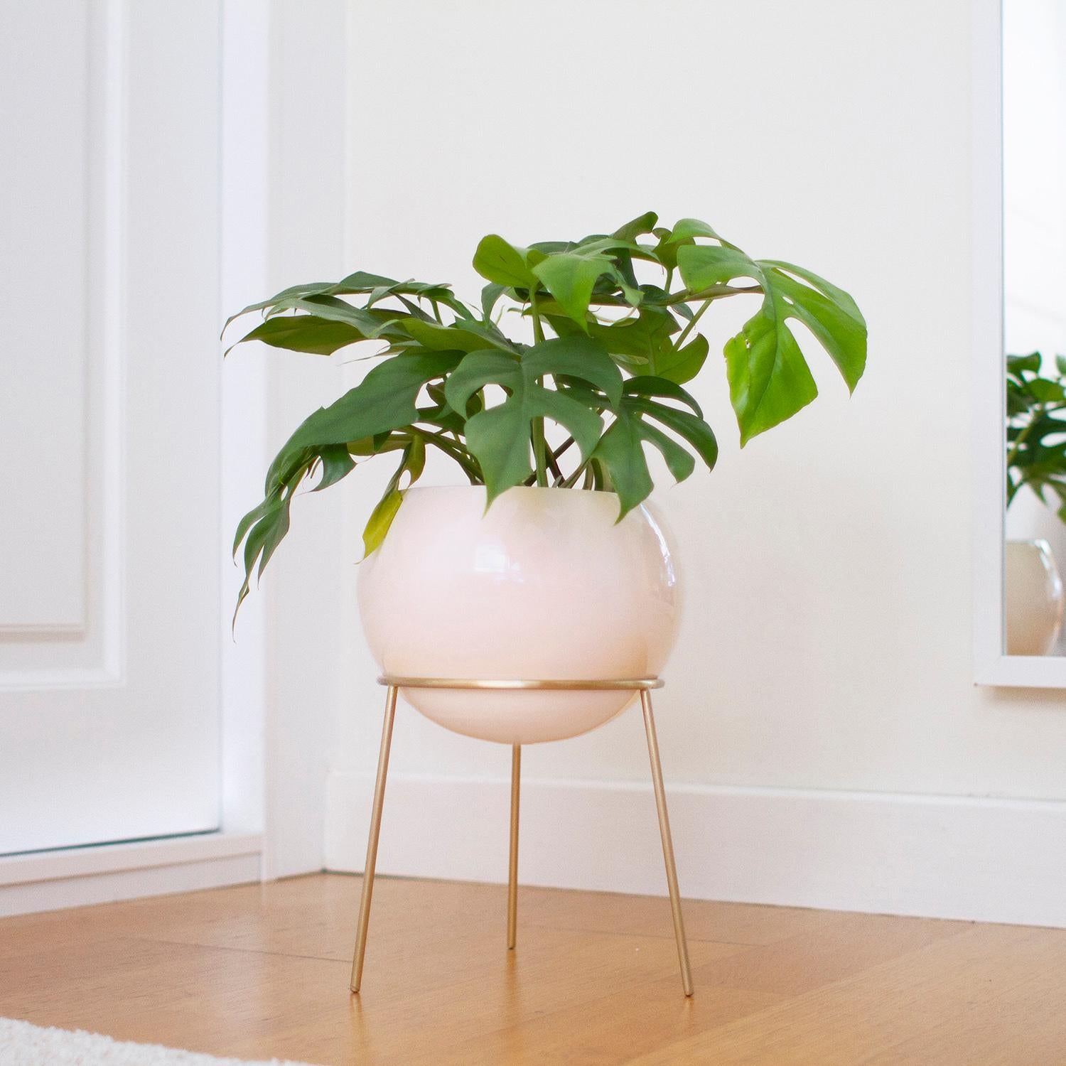 indoor plant stand argos