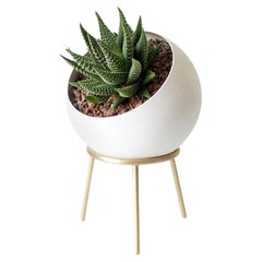 Globe Mini Planter, White 
Brass