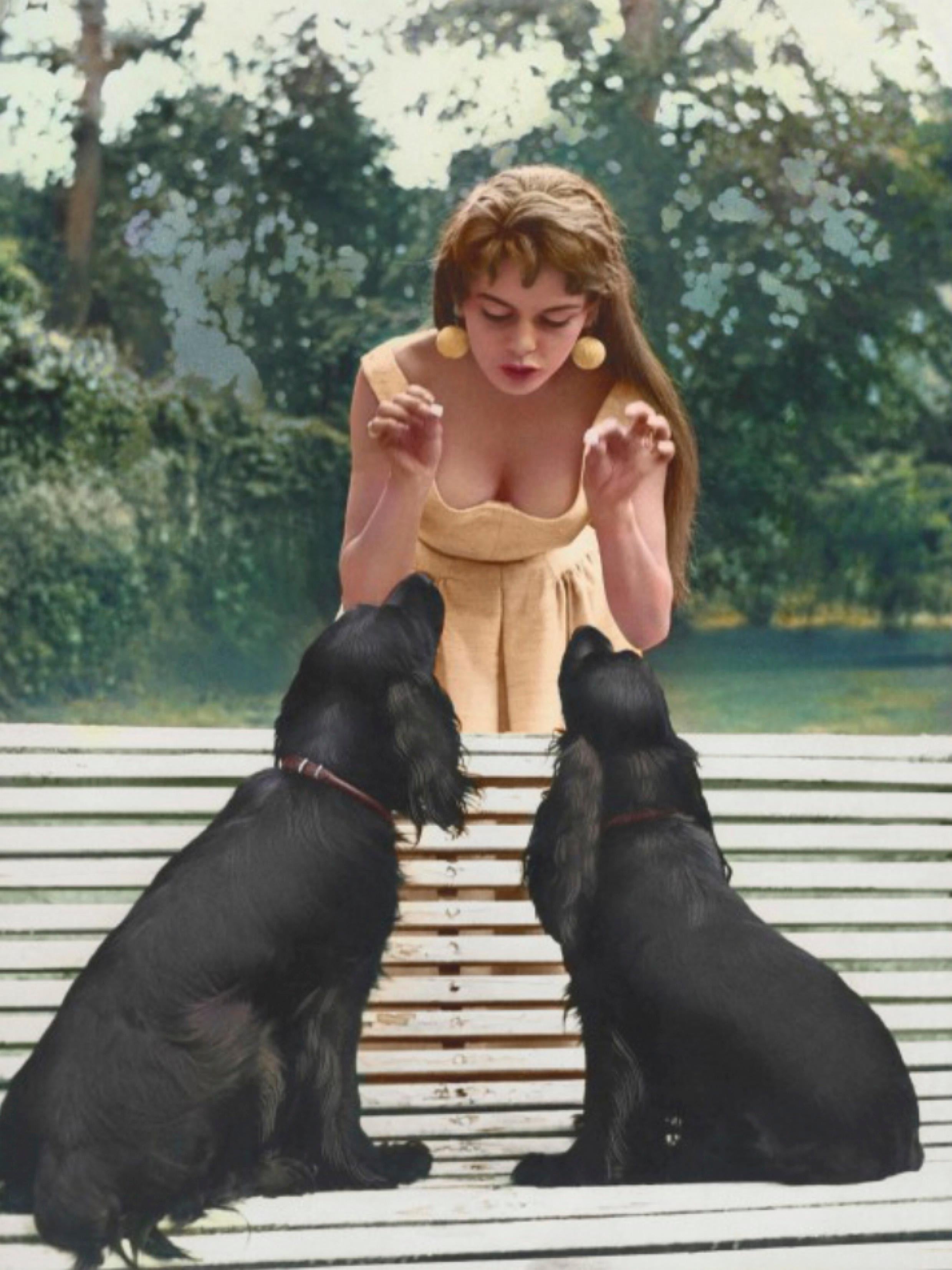 Globe Photo Archives Color Photograph – Brigitte Bardot und ihre Hunde –  Limitierter Druck in Übergröße 