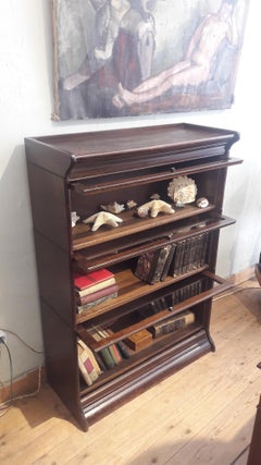 Globe Wernicke Bookcase