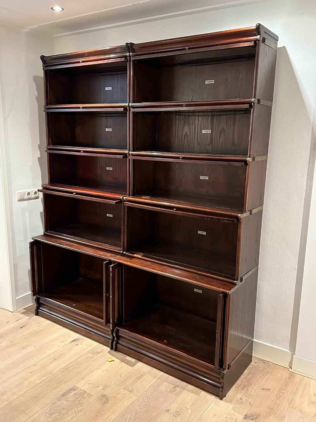 Indonesian Globe Wernicke bookcase