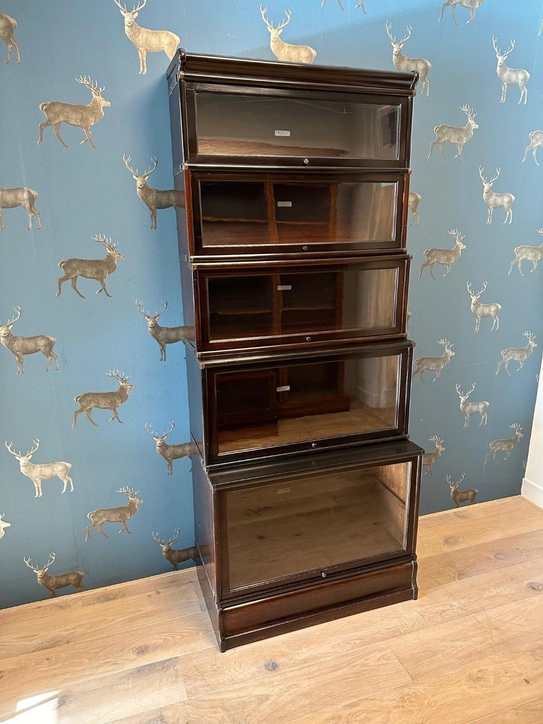 Globe Wernicke Bookcase 1
