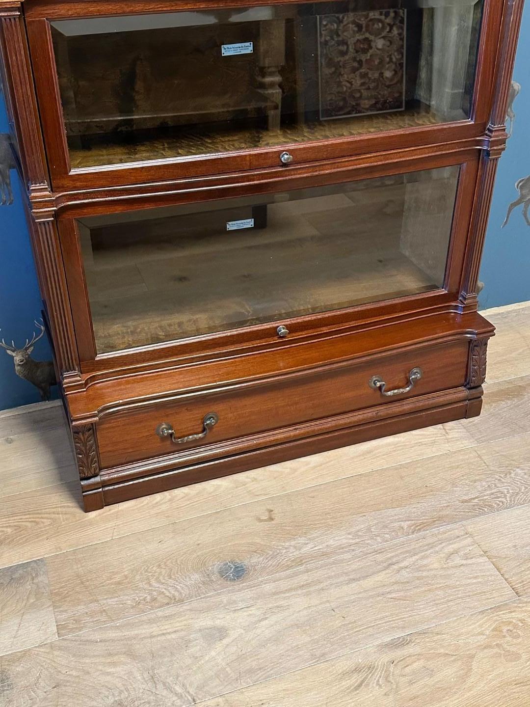 Globe Wernicke Bookcase For Sale 2