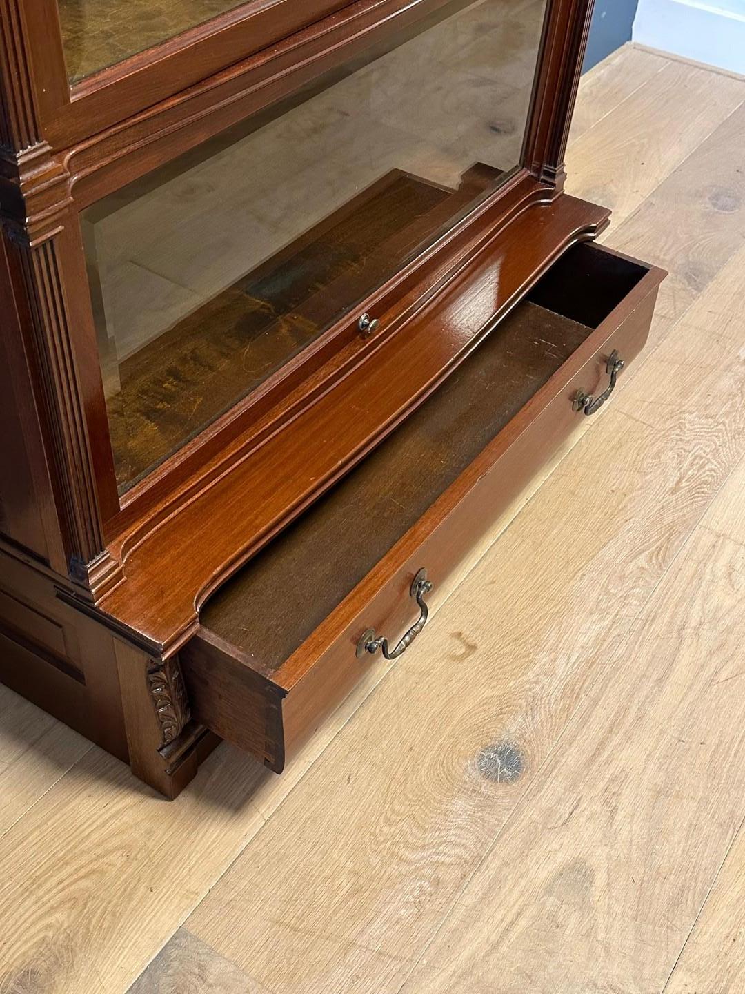 Globe Wernicke Bookcase For Sale 3