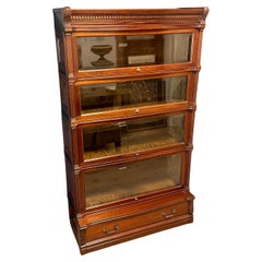 Libreria Globe Wernicke