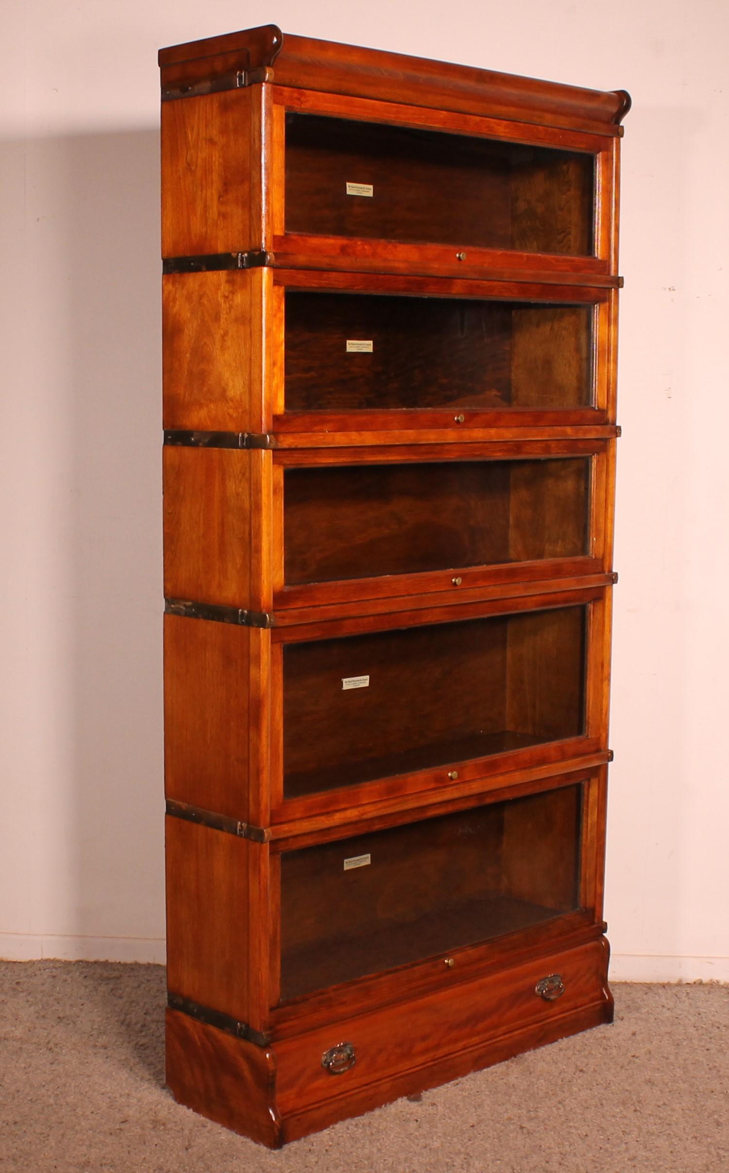 Aesthetic Movement Globe Wernicke Bookcase In Fruit Wood Of 5 Elements With Drawer For Sale