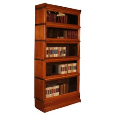 Libreria Globe Wernicke in Oak Oak con 5 Elementi