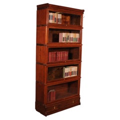 Bibliothèque Globe Wernicke en chêne de 5 éléments avec tiroir