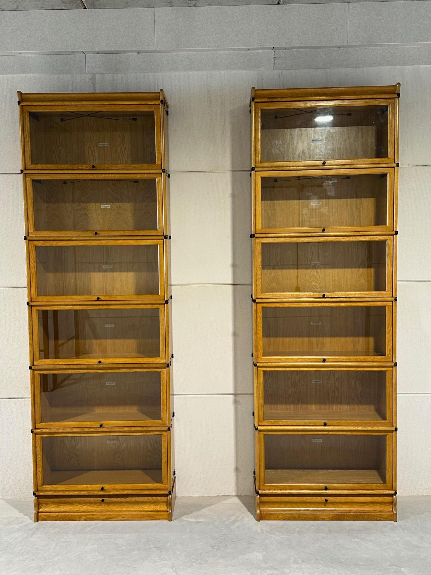 Bibliothèques Globe Wernicke en vente 4