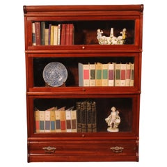 Libreria Globe Wernicke in mogano