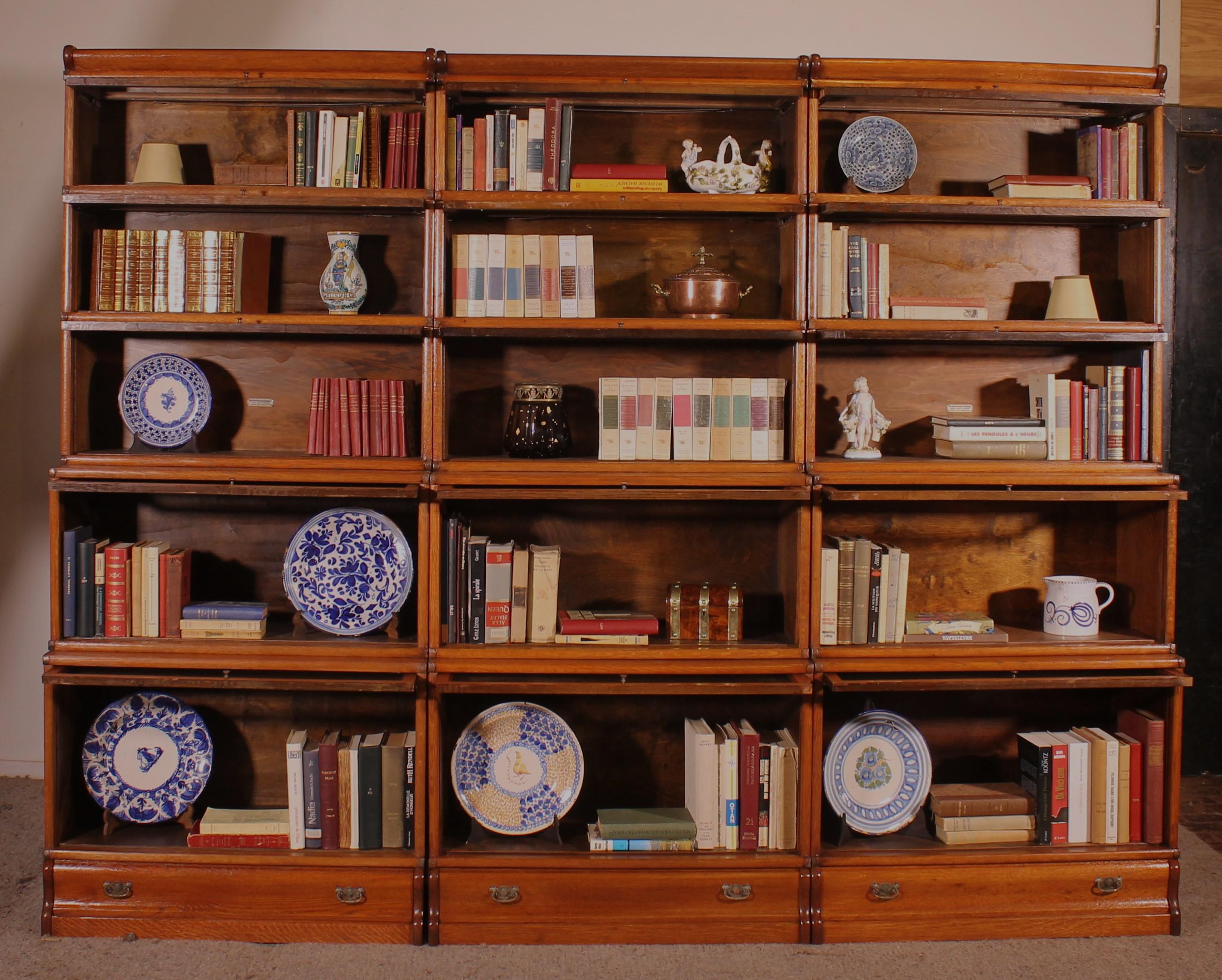 Britannico Libreria a cascata Globe Wernicke in Oak Light - XIX secolo in vendita
