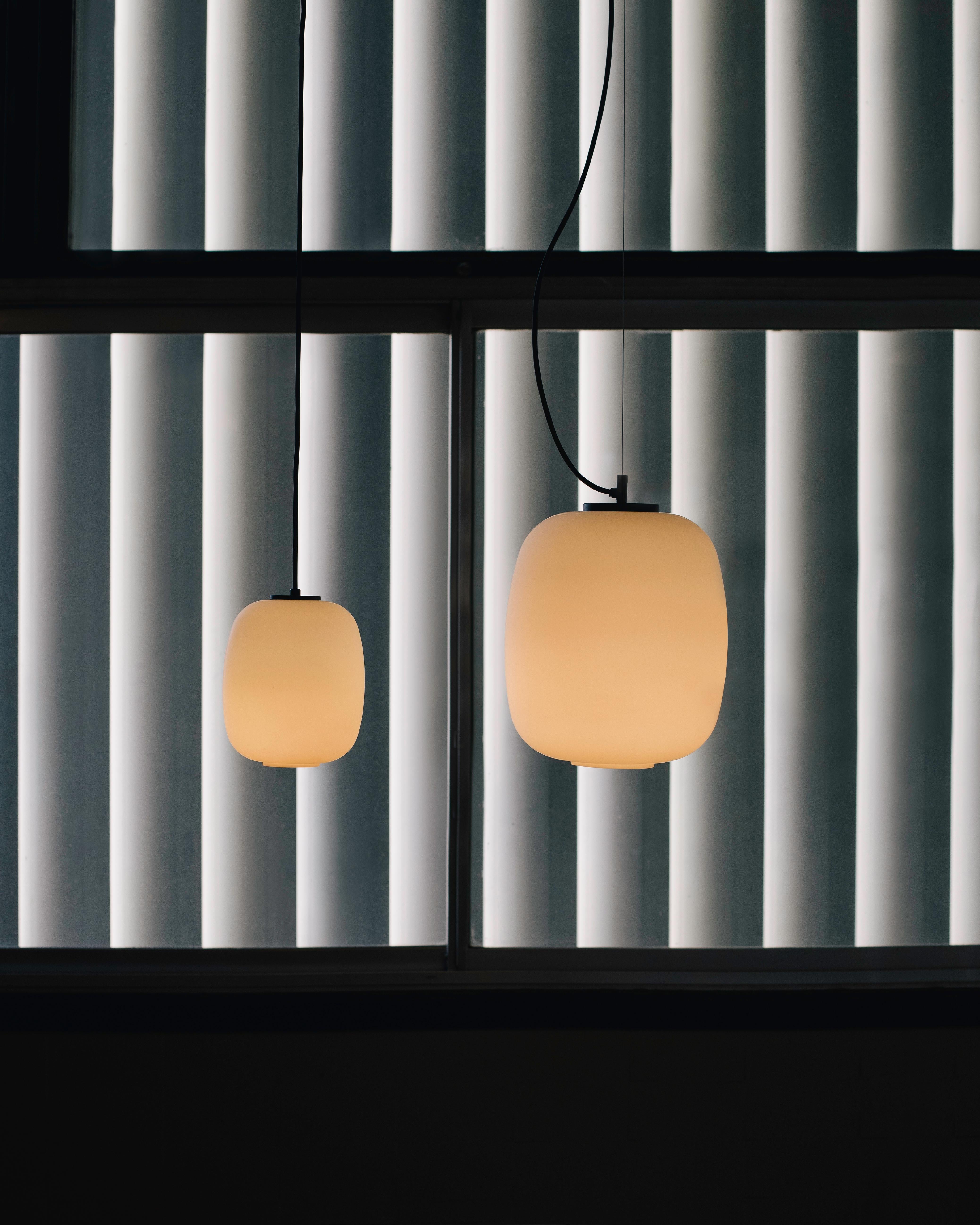 Spanish Globo Cestita Pendant Lamp by Miguel Milá For Sale