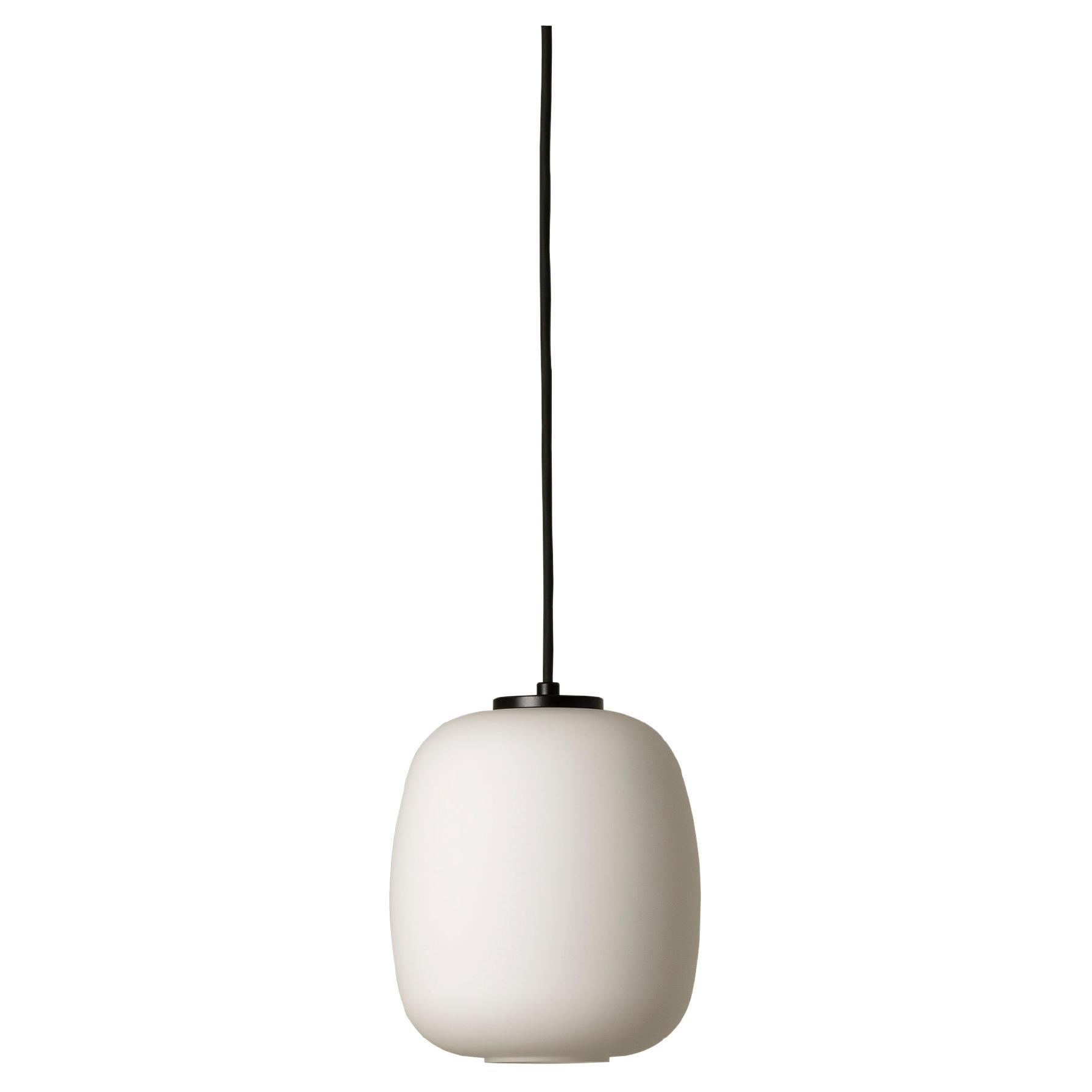 Globo Cestita Pendant Lamp by Miguel Milá For Sale