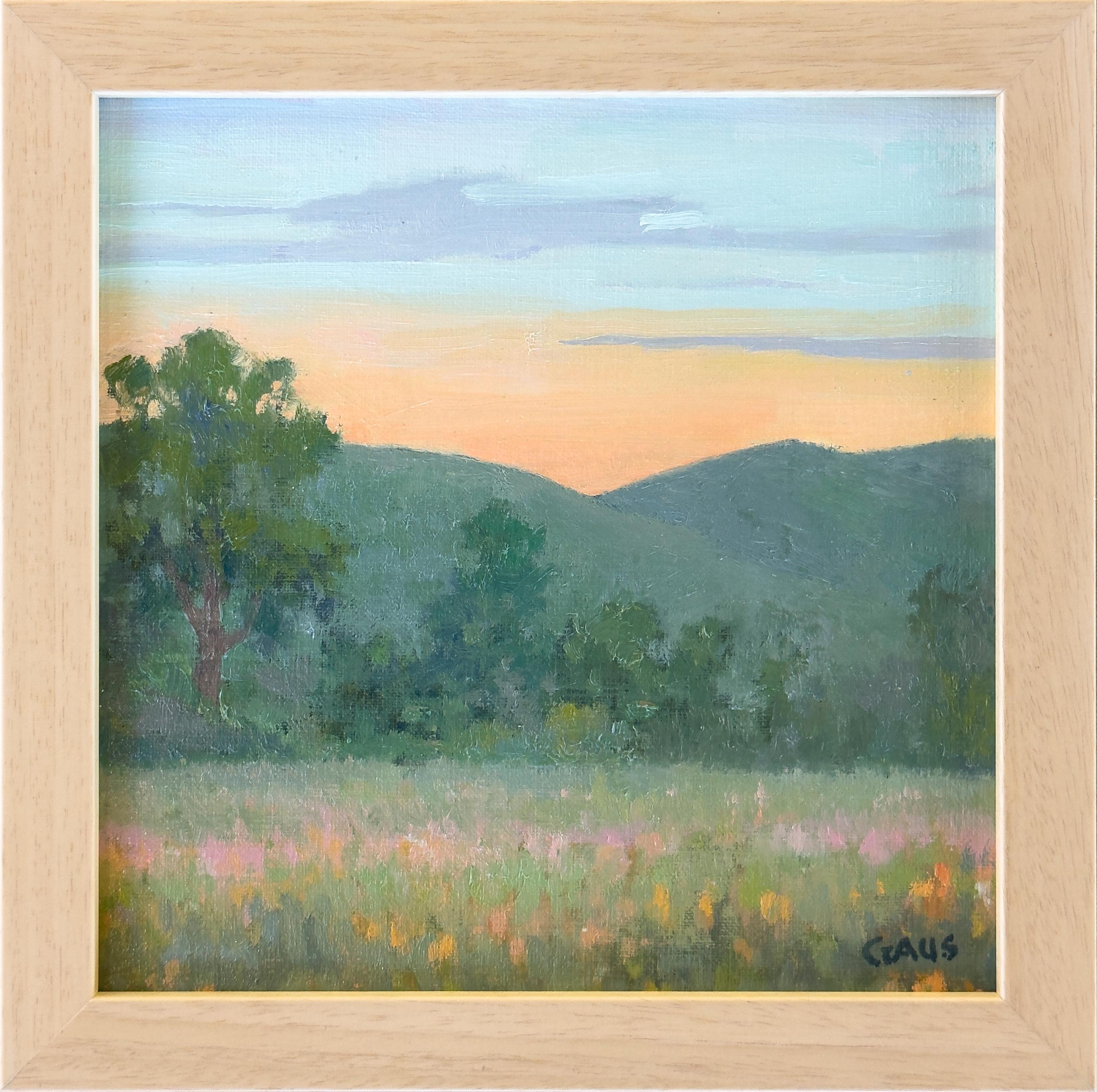 Abend auf der Prarie