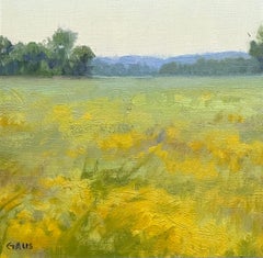 Dans un terrain d'été