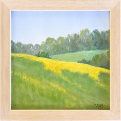 Guida di primavera