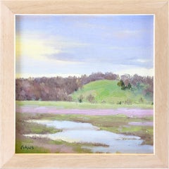 Primavera nel Missouri