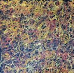 Mountain Devil Lizard