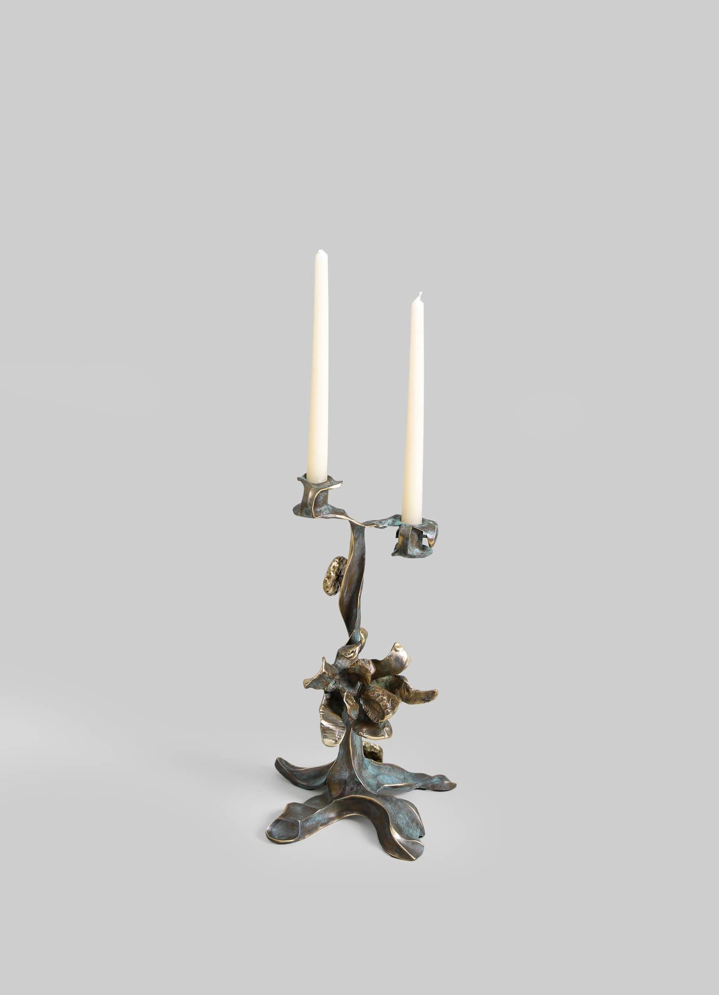 La fleur de lis Glory Lily danse dans le paradoxe, incarnant une beauté à couper le souffle et un pouvoir puissant. Cette plante grimpante étonnante n'est pas une fleur délicate comme les autres. Elle possède des propriétés médicinales permettant de