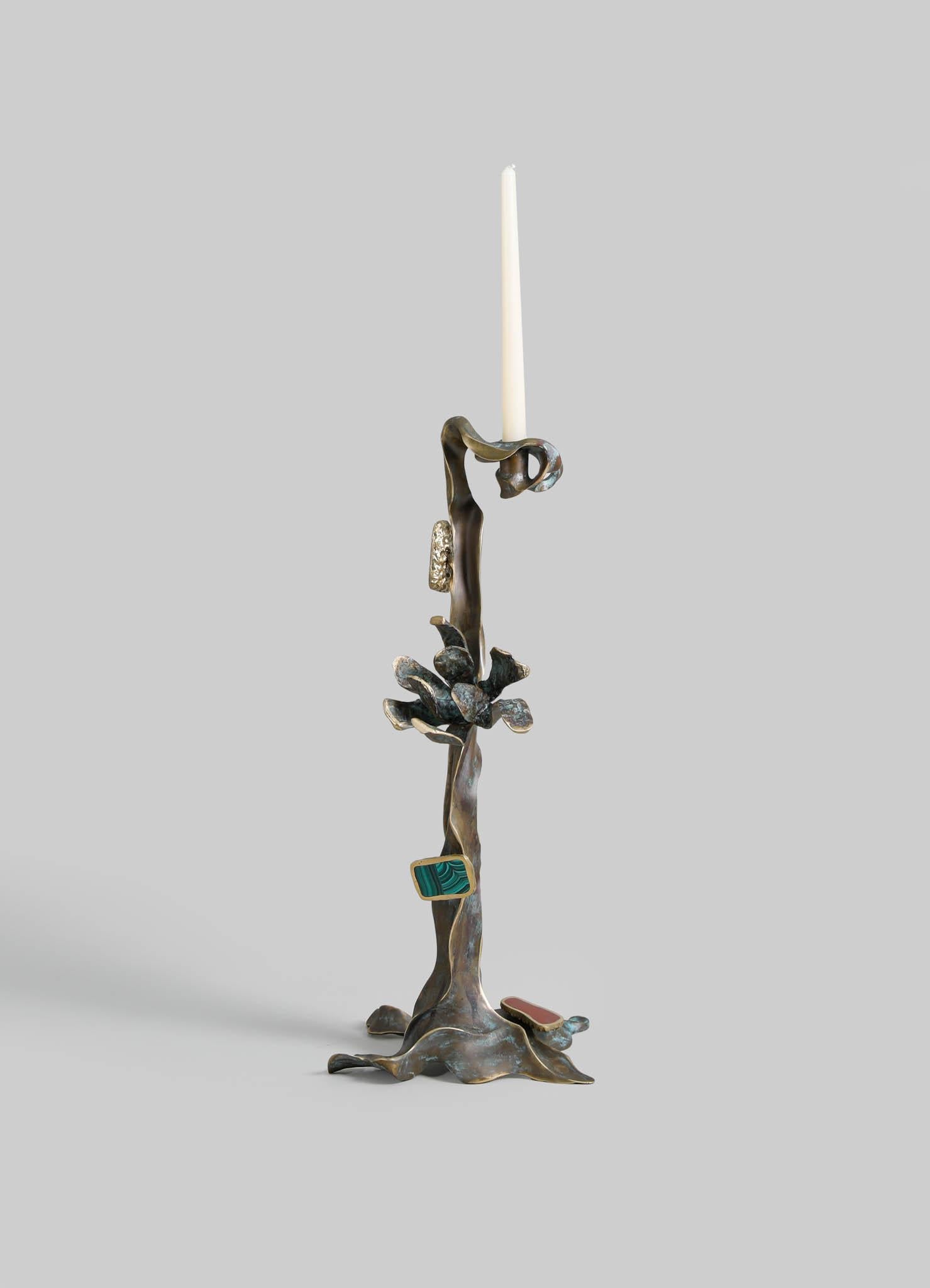 La fleur de lis Glory Lily danse dans le paradoxe, incarnant une beauté à couper le souffle et un pouvoir puissant. Cette plante grimpante étonnante n'est pas une fleur délicate comme les autres. Elle possède des propriétés médicinales permettant de
