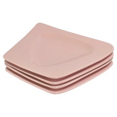 Juego de platos rosa brillante
