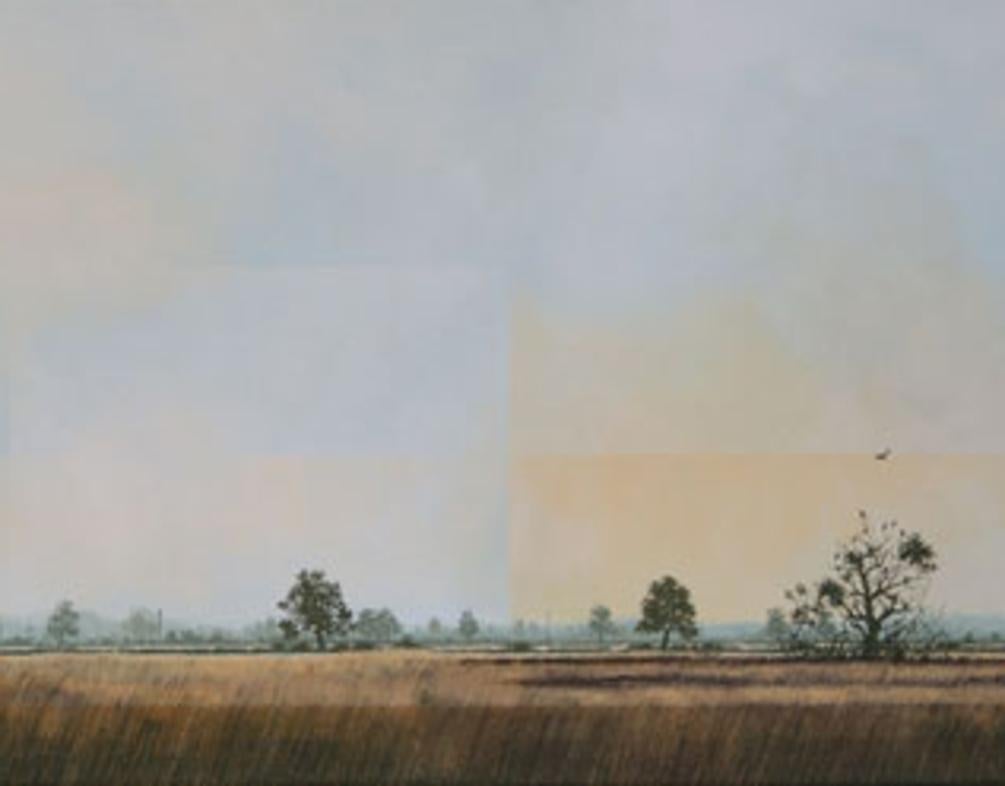 Broadland Roost - Contemporary Rural Landscape: Oil on Canvas - Painting by Glynne James