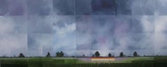 Gladioli Storm - Contemporary Rural Landscape: Oil on Canvas