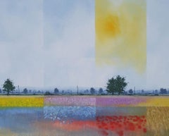Rainbow Fields - Contemporary Rural Landscape: Oil on Canvas