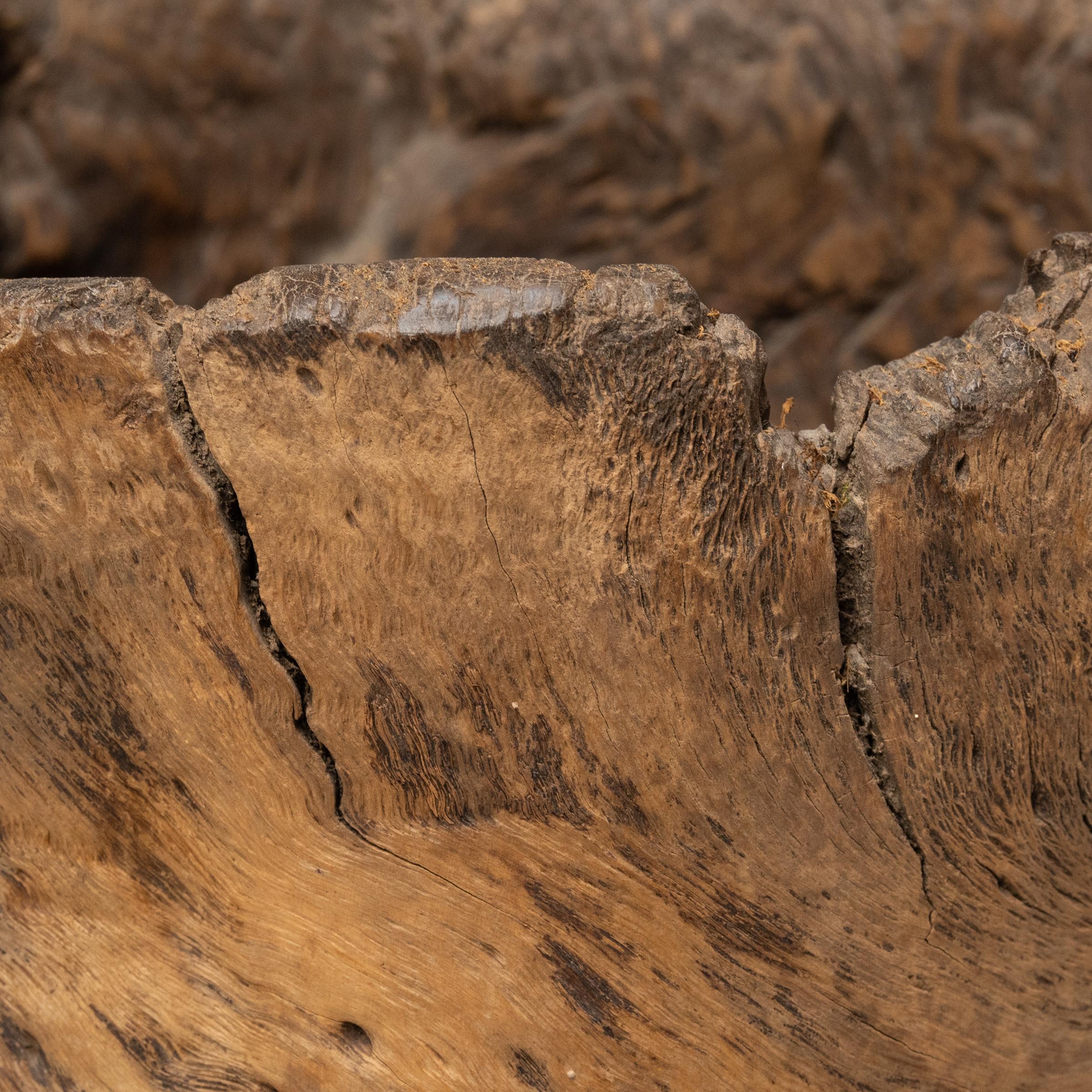 Mortaio a tronco d'albero nodoso, 1900 ca. In condizioni buone in vendita a Chicago, IL