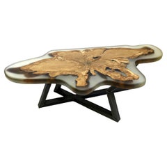 Gochelo Coffee Table by KV Design