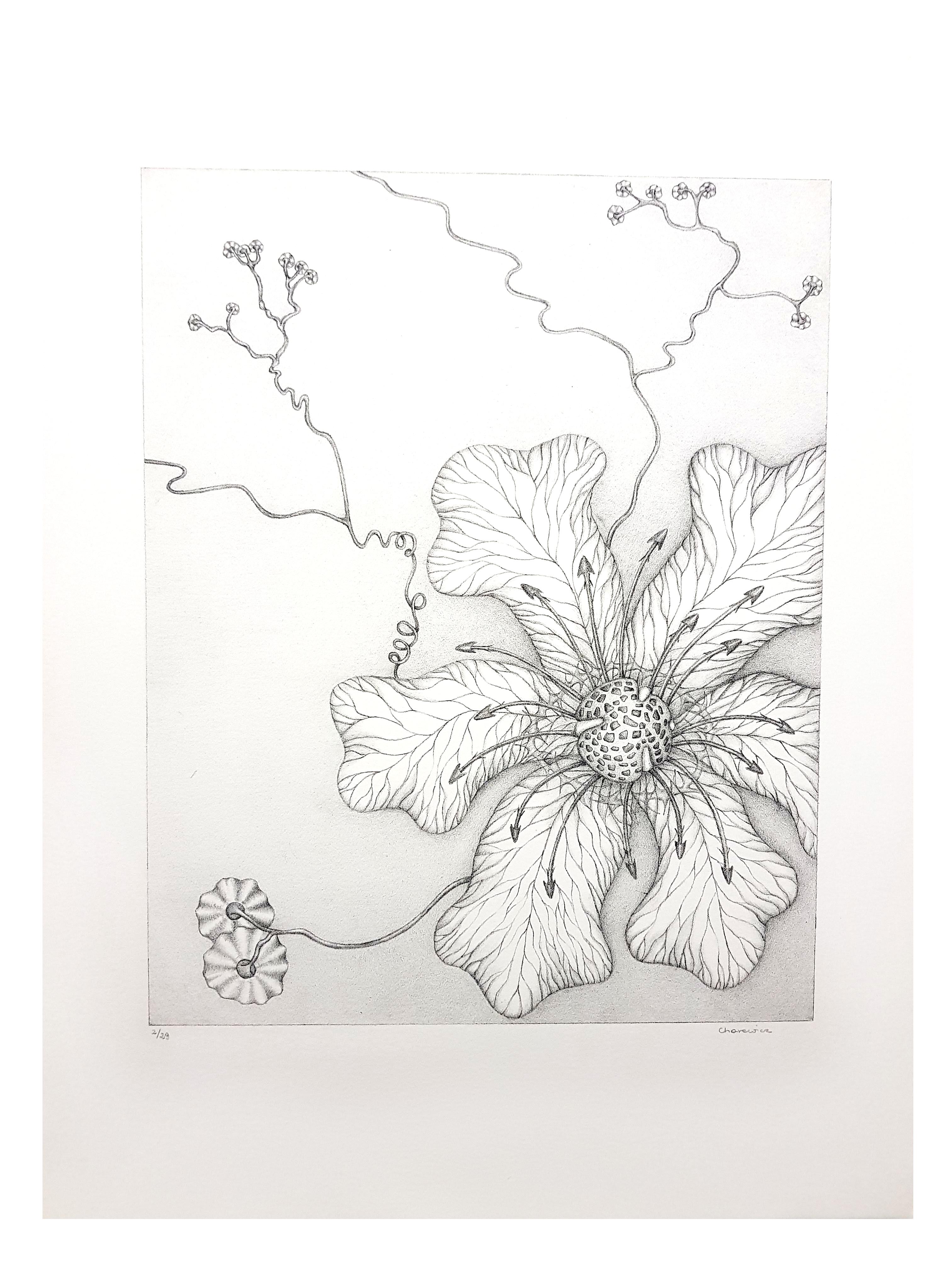 Gochka Charewicz - Herbarium - Original Signed Lithograph For Sale 1