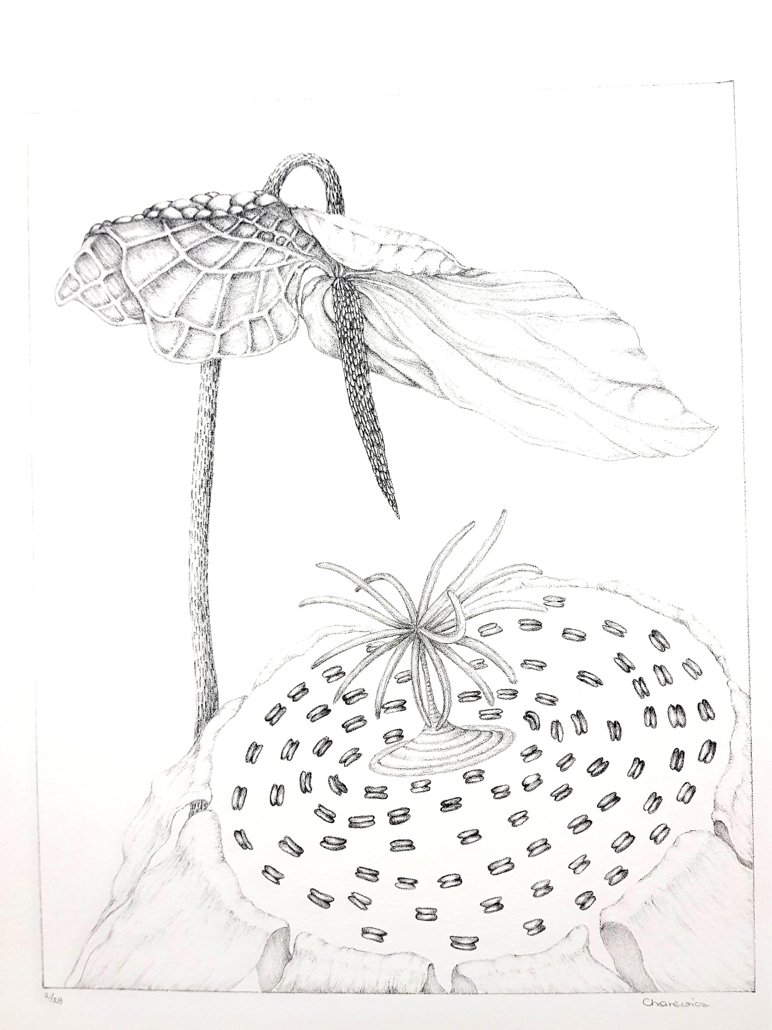 Gochka Charewicz - Herbarium - Original signierte Lithographie