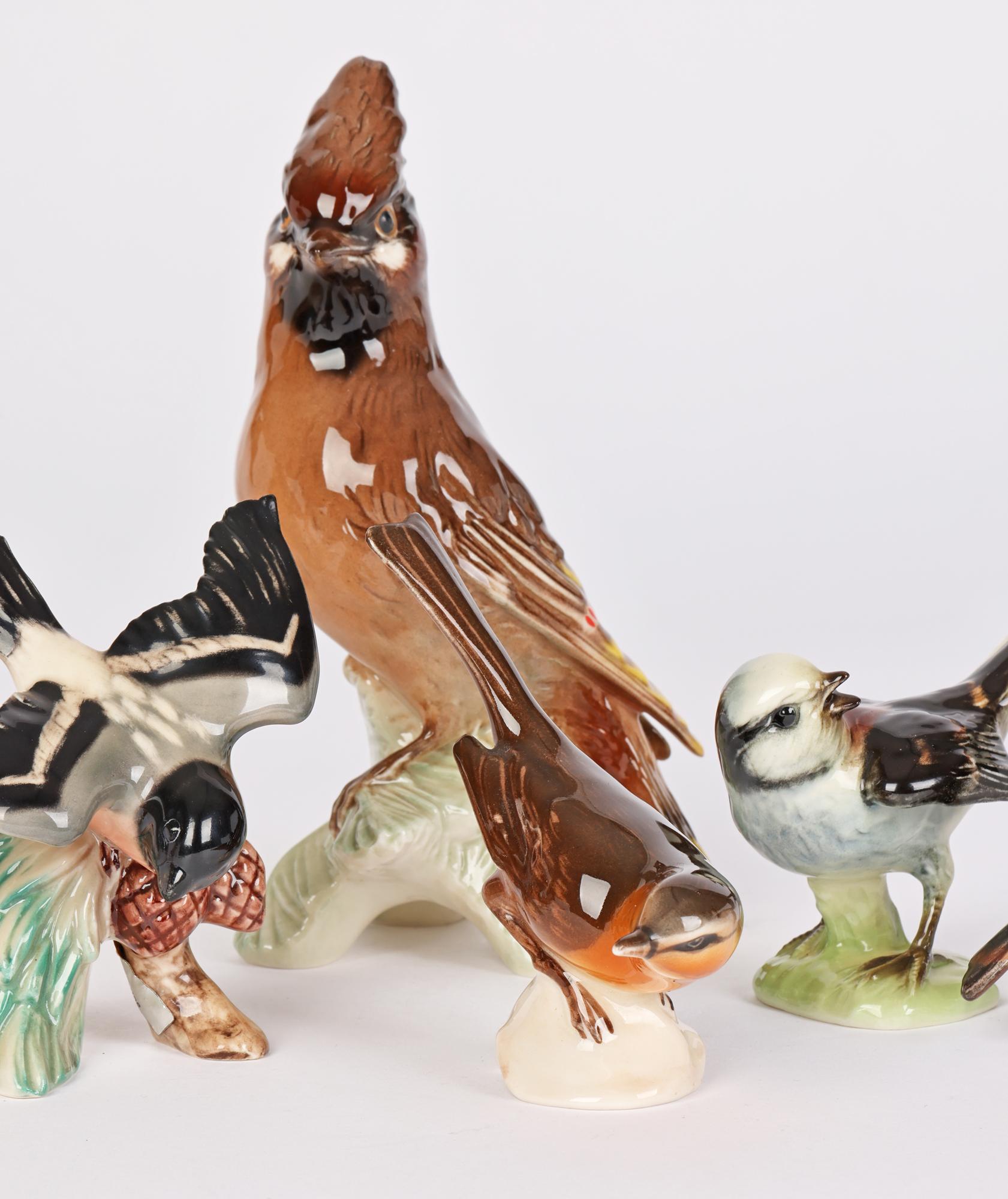 A fine German mid-century collection of seven porcelain garden bird figures dating from the 1960’s.The collection originating from a single owner comprises of common garden birds each on a perch of varying size including a Long-Tailed Titmouse with
