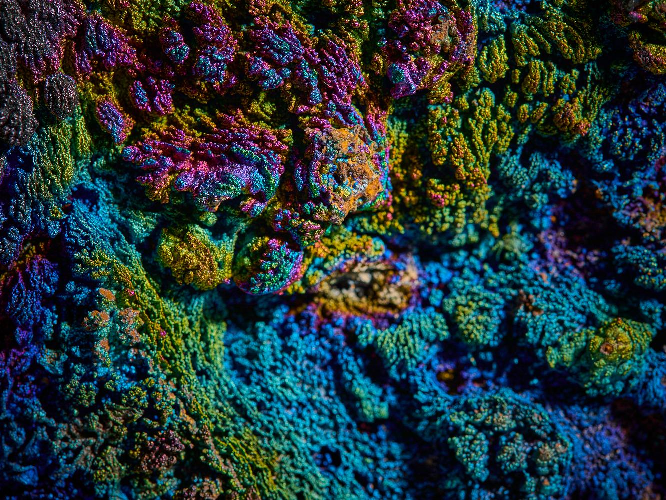 Impressione di goethite in vendita 8