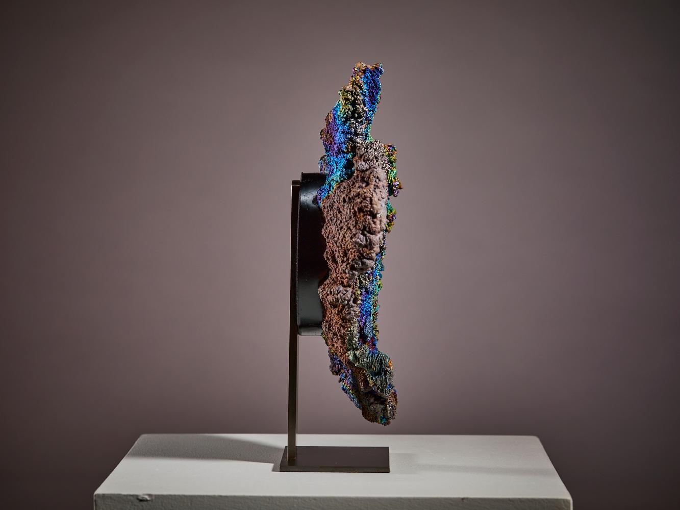 Fino al XVIII secolo Impressione di goethite in vendita
