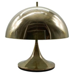 Goffredo Reggiani Attrib. Mushroom Table Lamp in Brass, Italy 1970s