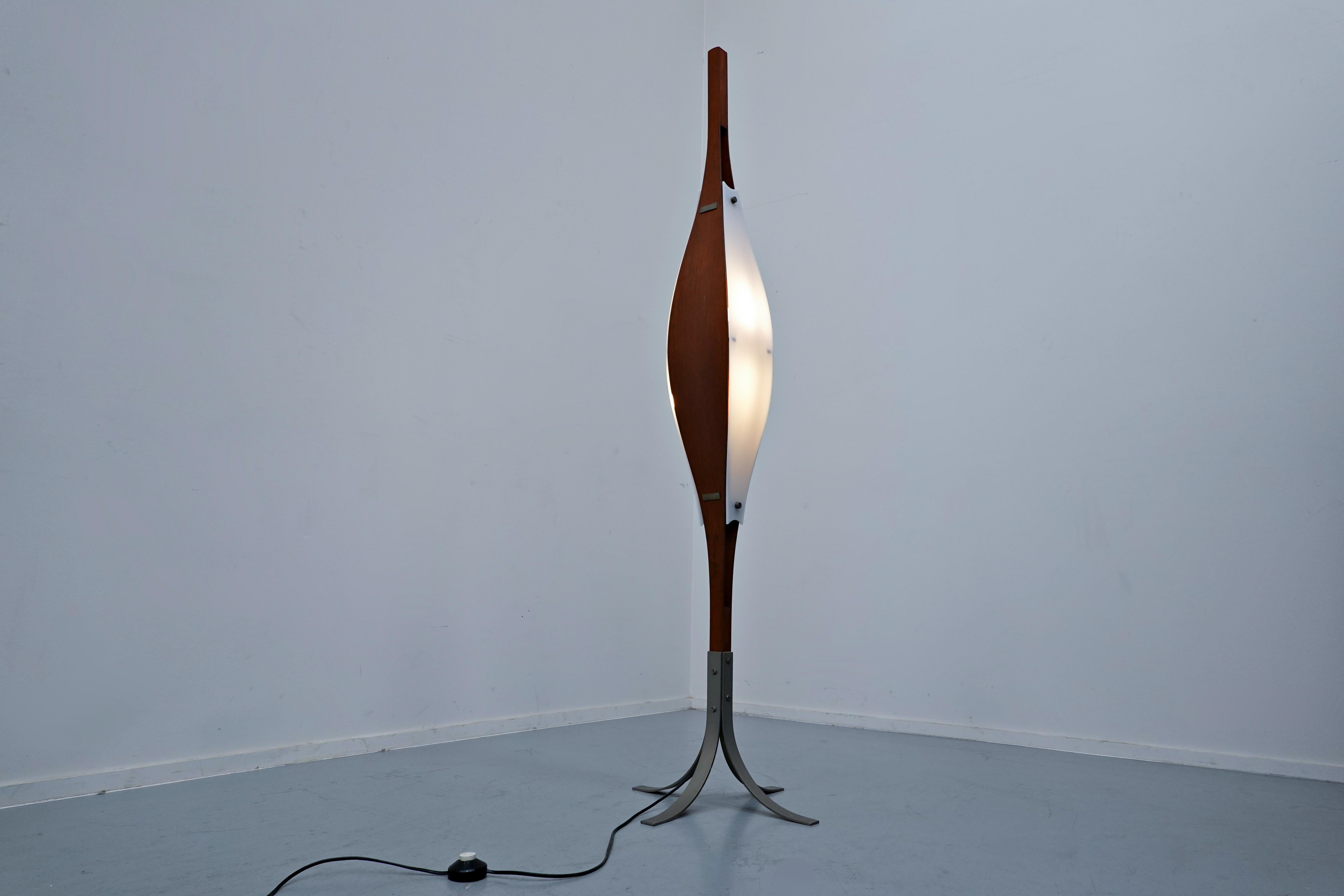 Goffredo Reggiani Mid-Century Modern Floor Lamp, Reggiani Illuminazione, 1970s 3