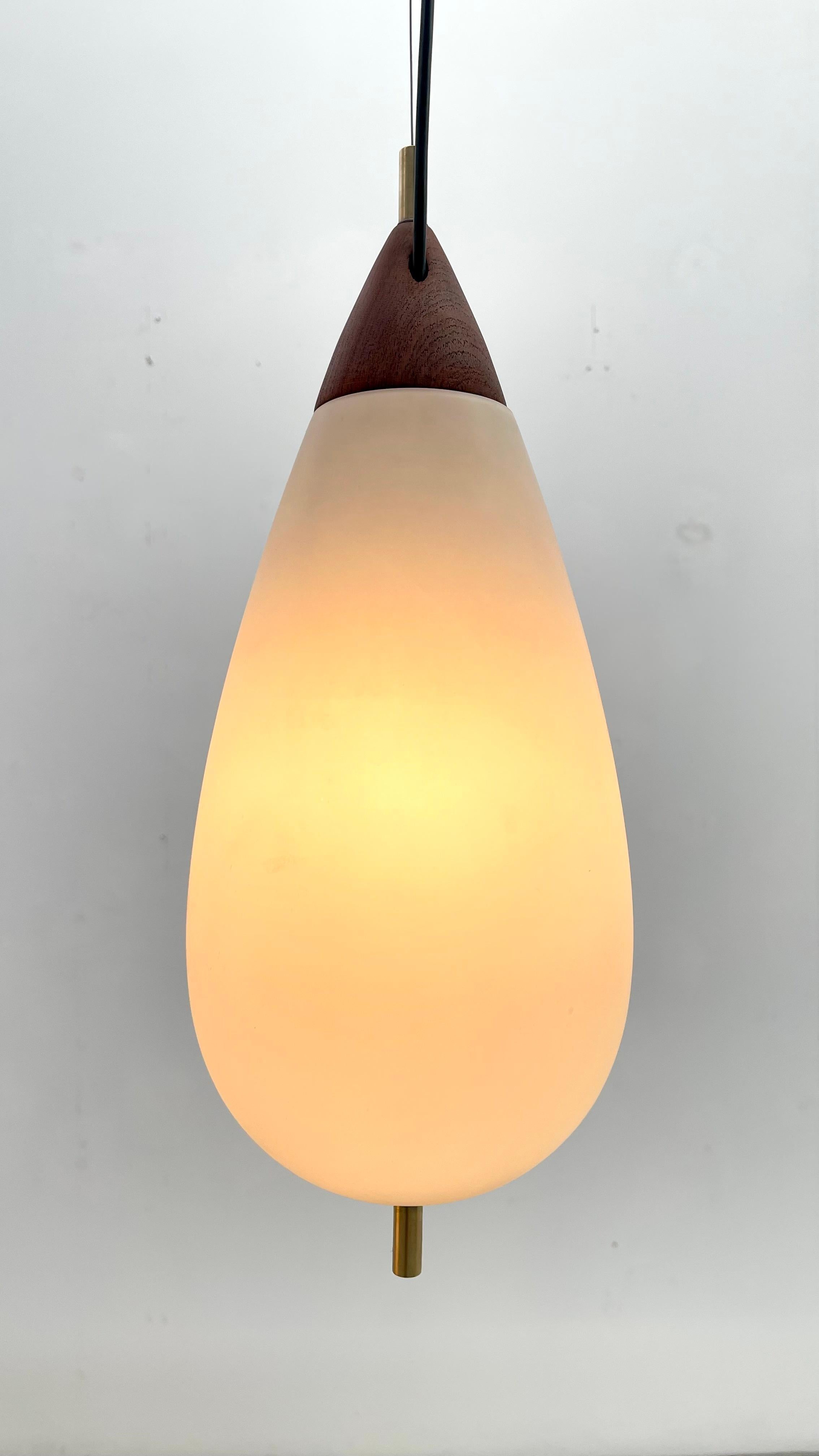 Goffredo Reggiani for Temde Leuchten - Pair teardrop pendants For Sale 1